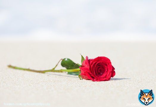 The sands of endless love
