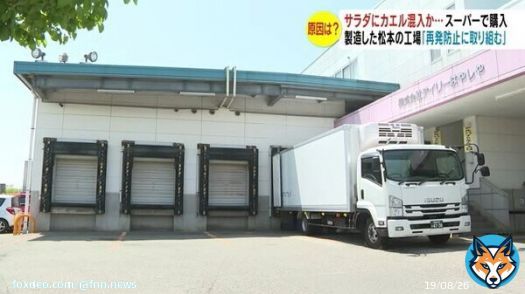 「食べている時に気づく」サラダにカエル混入か　スーパーで購入　保健所が緑色の異物確認&hellip;原因調査 #FNNプライムオンライン #長野放送