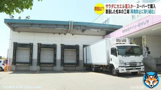 「食べている時に気づく」サラダにカエル混入か　スーパーで購入　保健所が緑色の異物確認&hellip;原因調査 #FNNプライムオンライン #長野放送