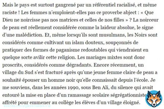 Quelques extraits de son interview, pointant l'anciennet&eacute; des st&eacute;r&eacute;otypes contre les personnes noires dans le soci&eacute;t&eacute; tunisienne, et leur lien avec une histoire marqu&eacute;e par l'esclavage. 2/2