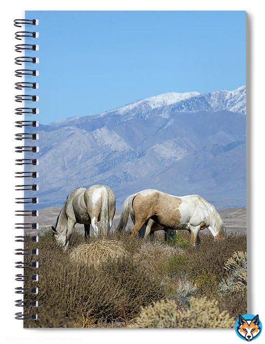 Open the spaces of your mind. And save your thoughts in this #Journal  Find It:   #WildHorse #Horse #Horses #Mustangs #SpringIntoArt #Journals #Journaling #Writing #Writers #SpiralBinder #DailyJournaling #ReflectiveJournaling #HorseLover #PhotographyIsArt