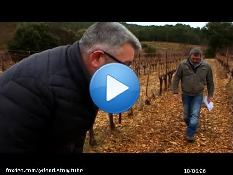 Comment le Bio est gard&eacute; sous contr&ocirc;le