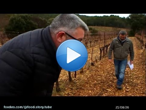 Comment le Bio est gard&eacute; sous contr&ocirc;le