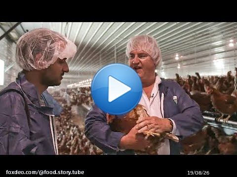 Faut-il arr&ecirc;ter de manger les animaux ?