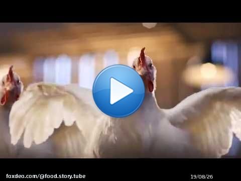 'ROI DU POULET' : L'incroyable enquête sur les secrets du géant LDC