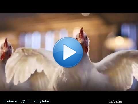 'ROI DU POULET' : L'incroyable enquête sur les secrets du géant LDC
