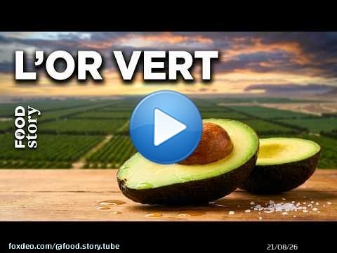 AVOCATS : La vérité sur le business secret du 'diamant vert'