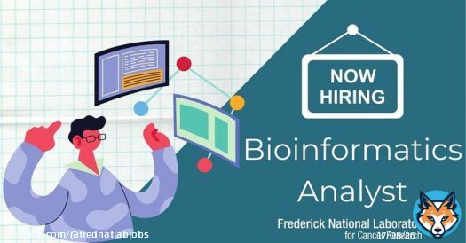 Our employees at Frederick National Laboratory bring diverse cultural and intellectual backgrounds to the table, which enables us to build collaborative teams and drive innovation. Join the team:  #Bioinformatics