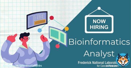 Our employees at Frederick National Laboratory bring diverse cultural and intellectual backgrounds to the table, which enables us to build collaborative teams and drive innovation. Join the team:  #Bioinformatics
