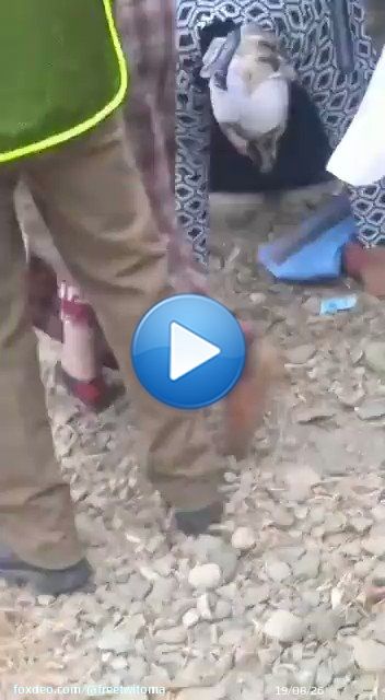 الله يأخد الحق في من أفقرنا، الفيديو يوثق التسجيل في لايحة الفراولة الاسبانية مشروع بالقصير ي #المغرب #maroc #morocco #marruecos #أخنوش_إرحل #لا_لغلاء_الاسعار_في_المغرب