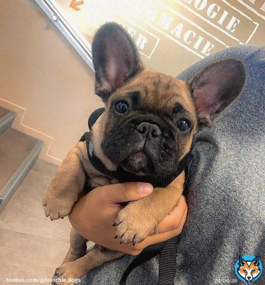 Double cuteness