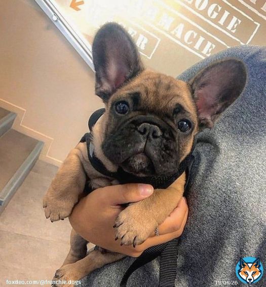 Double cuteness