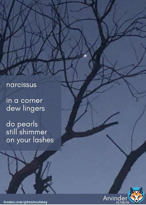 #cherita with #photo by Arvinder Kaur (IG: @arvinderk8).  #poetry #micropoetry #poetrycommunity #poetrylovers #art #photography #photographylovers #haiku #tanka #india #bestoftheday