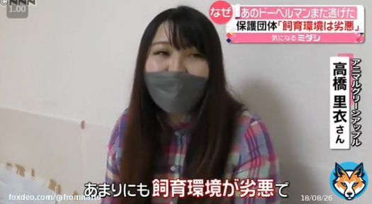 ドーベルマン窃盗 疑いで逮捕された、動物保護団団体 アニマルグリーンアップル 高橋里衣容疑者  「あまりにも飼育環境が劣悪で、2回目あるなと思いました。逃げ出そうと思えば逃げ出せる環境」とインタビューに答えていた。  ※飼い主は盗まれたと主張していた。