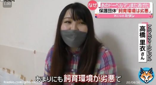 ドーベルマン窃盗 疑いで逮捕された、動物保護団団体 アニマルグリーンアップル 高橋里衣容疑者  「あまりにも飼育環境が劣悪で、2回目あるなと思いました。逃げ出そうと思えば逃げ出せる環境」とインタビューに答えていた。  ※飼い主は盗まれたと主張していた。