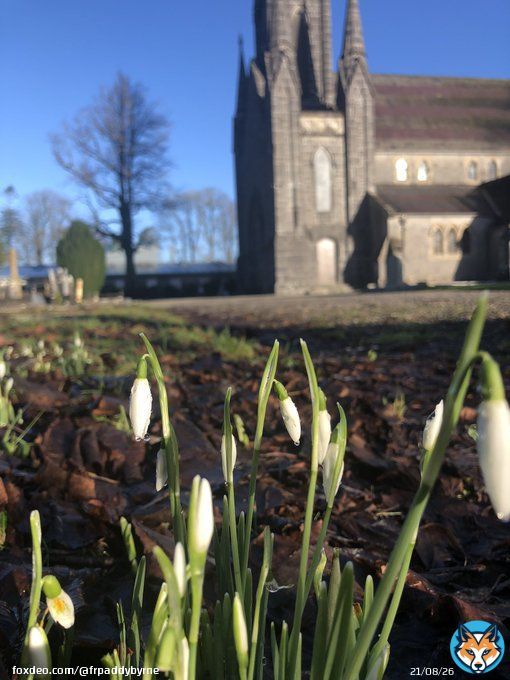 Important to note,we are half way through January and early as it is,there are visible signs; of a brighter spring ahead. On #BlueMonday embrace the early signs of hope&hellip;