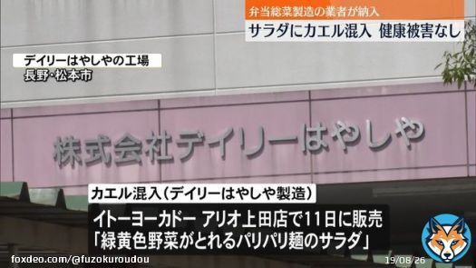ケロケロケロッピ 入ってたら凄く嫌だわwww  サラダに「カエル」混入　弁当総菜業者が製造、健康被害などの連絡なし　長野(日テレNEWS) #Yahooニュース