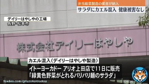 ケロケロケロッピ 入ってたら凄く嫌だわwww  サラダに「カエル」混入　弁当総菜業者が製造、健康被害などの連絡なし　長野(日テレNEWS) #Yahooニュース