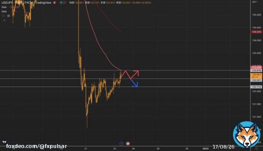 相場分析 ・ドル円 (USDJPY)  62 / 100日目  金融緩和修正後の反発や昨日の指標で 徐々に上昇が見られている  132.50から132.81付近への反発で ロングを利食い 付近の上昇を見守りつつ判断を  ただ長期目線で130円台を 目指すことが考えられるので 132.50をブレイクすれば 132.17へショートを狙う