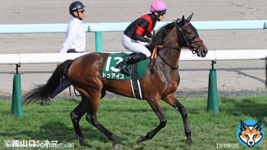 阪神ジュベナイルフィリーズにドゥアイズが出走します。 デビュー戦では狭い内から抜け出し優勝。2･3戦目は敗れたものの、ともに2着と好走を見せてくれました。 リフレッシュを挟み、パワーアップした姿で挑む今回。例年以上にメンバーが揃いましたが、素質は引けを取らないはずです。ここで結果を