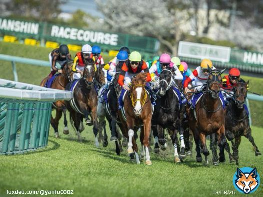 15頭を引き連れて走るジャックドール