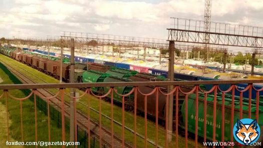 Фотофакт. Железнодорожный вокзал &laquo;Барановичи-Полесские&raquo; &ndash; практически все пути заняты грузовыми вагонами, в том числе &laquo;Беларуськалия&raquo;, которые днями стоят в режиме ожидания.