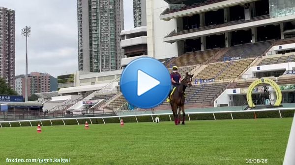 AWコースへ馬場入りする今朝のメイケイエールです。池添騎手が落馬負傷のため、今回はJ.マクドナルド騎手とのコンビで #香港スプリント に出走します。