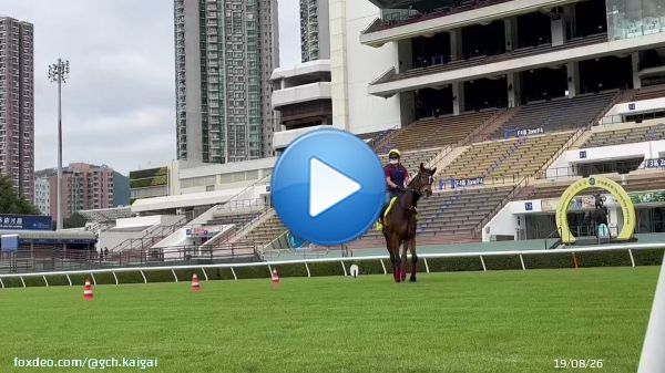 AWコースへ馬場入りする今朝のメイケイエールです。池添騎手が落馬負傷のため、今回はJ.マクドナルド騎手とのコンビで #香港スプリント に出走します。