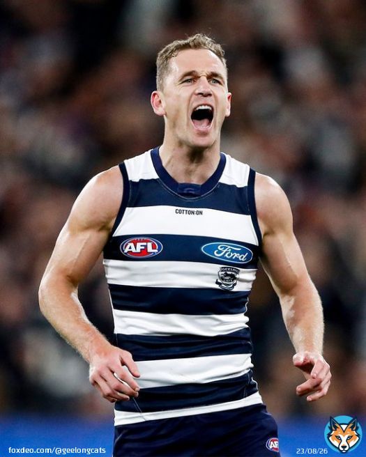 Bring us home Cap'n   #AFLCatsLions #Untameable