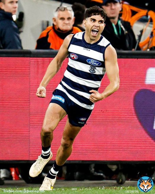 He was All Australian for a reason   #AFLCatsLions #Untameable