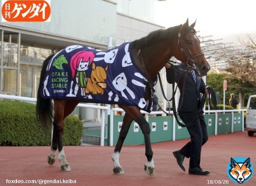 チャレンジＣを連覇、心房細動明けの勝利となったソーヴァリアント。 大竹厩舎お馴染みの馬服とともに。 #チャレンジＣ #ソーヴァリアント #Ｃ・ルメール