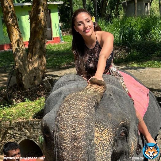 Ayubowan \ud83d\ude4f\ud83c\udffb\ud83d\udc18...#srilanka #negambo #elephants #travel #adventure #cabincrew #cabincrewlife #nature #colombo