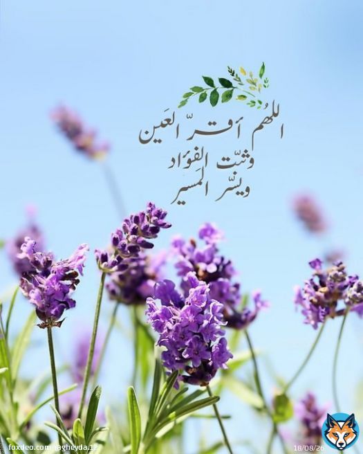 'إياك أن تترك الدعاء مهما تأخرت الإجابة فهناك دعاء من قوته وكَثرة إلحاحِ صاحِبه  وشدّة تَوسّله يغلب أقداراً تنزَّلت وشارَفت على الوقوع فتعلّمْ كيف تَفِرّ مِن قَدرٍ يُرهقك إلى قَدرٍ يَرحمك ويحقق لك كل ما تتمناه' #ليله_25  #ليلة_القدر