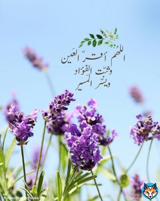'إياك أن تترك الدعاء مهما تأخرت الإجابة فهناك دعاء من قوته وكَثرة إلحاحِ صاحِبه  وشدّة تَوسّله يغلب أقداراً تنزَّلت وشارَفت على الوقوع فتعلّمْ كيف تَفِرّ مِن قَدرٍ يُرهقك إلى قَدرٍ يَرحمك ويحقق لك كل ما تتمناه' #ليله_25  #ليلة_القدر
