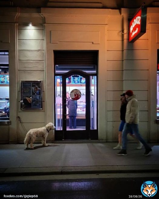 'Why am I not allowed in?? # #Wien #&Ouml;sterreich #Vienna #Austria #Wienstagram #wienmalanders #Wienliebe #stadtwien #viennadaily #viennagram #viennanow #vienna_austria #viennaphotography #viennabynight #viennablogger #viennaphotographer #igersviennna #wanderlust #wonderlustvi&hellip;