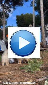 Cette vie avec toi encore et encore \ud83d\udc95????\ud83c\udffc\u2728