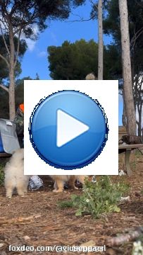 Cette vie avec toi encore et encore \ud83d\udc95????\ud83c\udffc\u2728