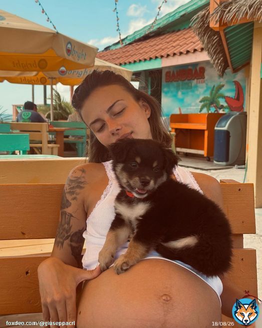Et voil&agrave; une nouvelle aventure qui commence pour toi Martin \ud83e\udd79\ud83c\udf08\ud83d\udc95 c&rsquo;est le d&eacute;part et on embarque ce petit bouchon d&rsquo;amour un petit chien abandonn&eacute; de saint Martin on le ram&egrave;ne poune pour lui trouver une petite famille, j&rsquo;avoue qu&rsquo;on est a deux doigts de craquer mais avec nos 3 chiens &agrave; la maison et la petite chouchounette qui arrive on est assez perplexe alors je vous tiens au courant de toutes les avanc&eacute;es pour la nouvelle vie de Martin qui d&eacute;marre en France \ud83e\udd79\u2764\ufe0f