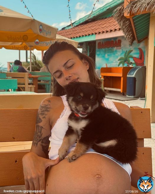 Et voilà une nouvelle aventure qui commence pour toi Martin \ud83e\udd79\ud83c\udf08\ud83d\udc95 c’est le départ et on embarque ce petit bouchon d’amour un petit chien abandonné de saint Martin on le ramène poune pour lui trouver une petite famille, j’avoue qu’on est a deux doigts de craquer mais avec nos 3 chiens à la maison et la petite chouchounette qui arrive on est assez perplexe alors je vous tiens au courant de toutes les avancées pour la nouvelle vie de Martin qui démarre en France \ud83e\udd79\u2764\ufe0f