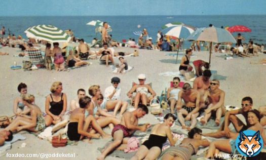 Look at this 1950s beach pic, everyone fit as a fiddle! No keto, vegan, or paleo diets. No gym memberships, no fancy fitness tech or wellness influencers. They also weren't drinking protein shakes or counting calories.  So what went wrong? A THREAD