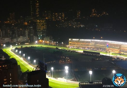 割と得意な海外競馬。 ドバイワールドカップデー４つのレースを全て馬連６点で勝負してみます。 寝不足になりますね。でも楽しみ！ #ドバイワールドカップ  #ドバイターフ  #ドバイシーマクラシック #ドバイゴールデンシャヒーン