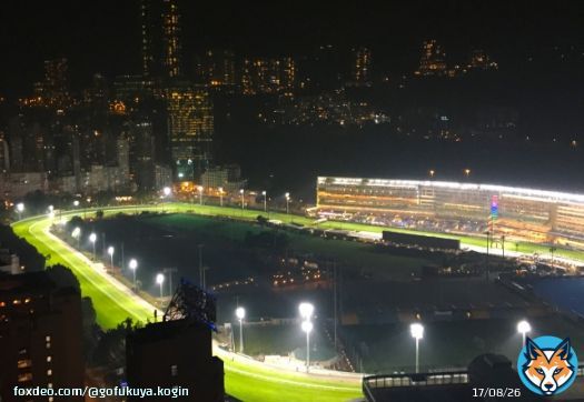 割と得意な海外競馬。 ドバイワールドカップデー４つのレースを全て馬連６点で勝負してみます。 寝不足になりますね。でも楽しみ！ #ドバイワールドカップ  #ドバイターフ  #ドバイシーマクラシック #ドバイゴールデンシャヒーン
