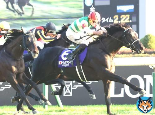 JC制覇 #ヴェラアズール は有馬記念参戦へ　キャロットＦ秋田社長が前向き「脚元に問題なければ」 #有馬記念 #keiba