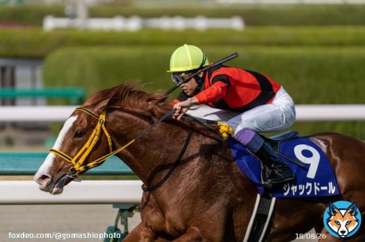 大阪杯覇者 輝く馬体靡く鬣 #ジャックドール #武豊 騎手