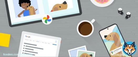 During her many years as a pet owner, Googler Molly has used our tools to keep her furry friends happy and healthy &mdash; and make her life easier. Steal her tricks &darr;