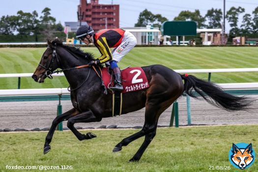 ヴェルトライゼンデ 今回も中京で見事重賞制覇 次が楽しみです 関係者の皆様もおめでとうございます #ヴェルトライゼンデ #デヴィッド・イーガン #日経新春杯