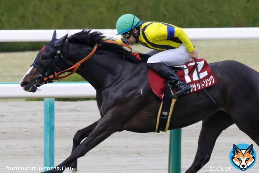 フィリーズレビューの勝者は、 吉田隼人騎手騎乗のシングザットソング！ 今年もドゥラメンテ産駒がクラシックを席巻するのでしょうか 関係者の皆様おめでとうございます #シングザットソング #吉田隼人 #フィリーズレビュー