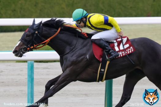 フィリーズレビューの勝者は、 吉田隼人騎手騎乗のシングザットソング！ 今年もドゥラメンテ産駒がクラシックを席巻するのでしょうか 関係者の皆様おめでとうございます #シングザットソング #吉田隼人 #フィリーズレビュー