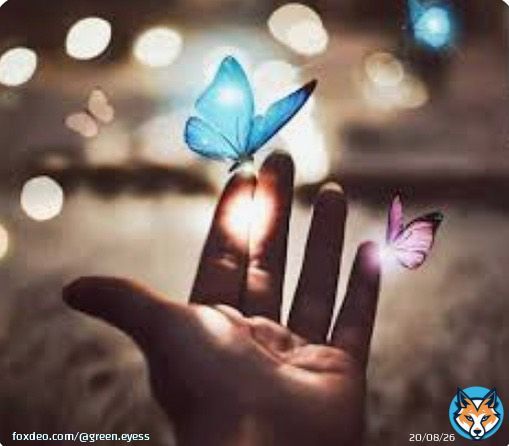 ____''  Odayı saran odun kokusu  Dışarda &ccedil;iseleyen bir yağmur         Sıcak bir &ccedil;ay                  Aklımda  &Ccedil;ocukluğumdan kalan bir masal ..                                ''_____       #GeliyorGelmekteOlan       G&Uuml;NAYDIN DIN     #MescidiAksadaBaskınVar