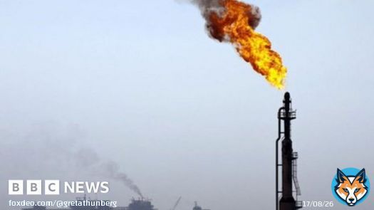 &rdquo;Global Witness found more than 600 people at the talks in Egypt are linked to fossil fuels. That's more than the combined delegations from the 10 most climate-impacted countries.&rdquo;  'If you want to address malaria, you don't invite the momosquitoes&rdquo; #COP27